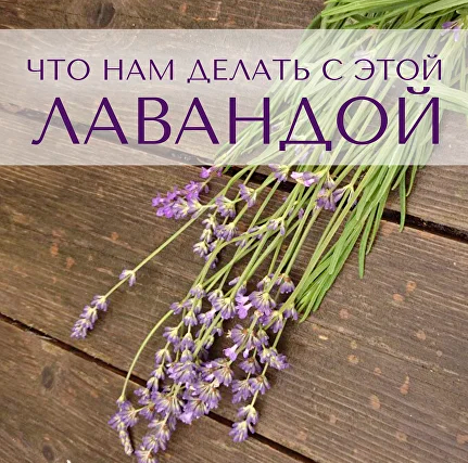 [Анна Зворыкина] [Парфюмерия] Ингредиенты_ что нам_0.png